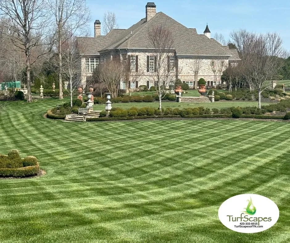 TurfScapes transformed estate lawn with striped mowing pattern